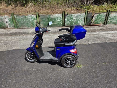 Rolektro trike roller 25 - rolektro,