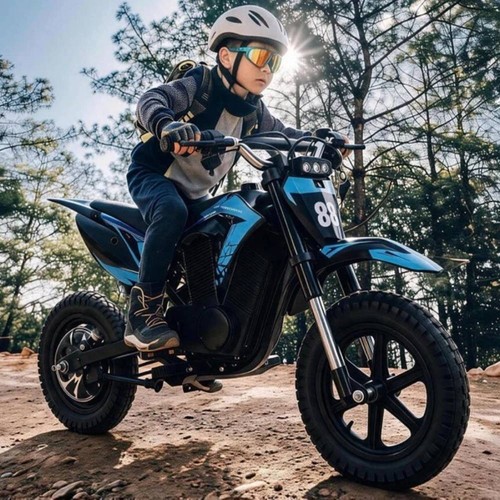Freeboy elektromotorrad - freeboy, y3